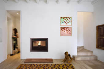 Mono wood pellet inset stove