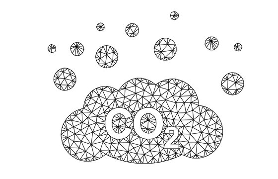 Towards operational carbon neutrality