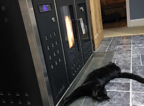 Cat relaxing by the Smart 120 wood pellet boiler cooker