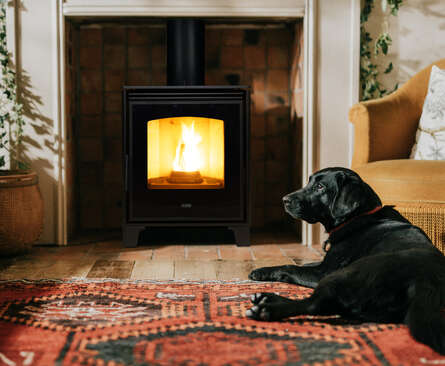 Wood Pellet Stoves
